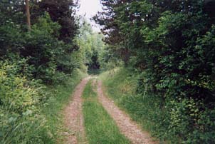 le gite D'Ancy le franc , chemin vers la campagne