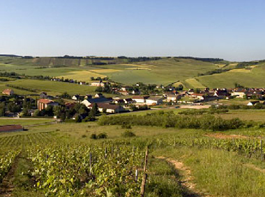 Coulanges-la-Vinneuse